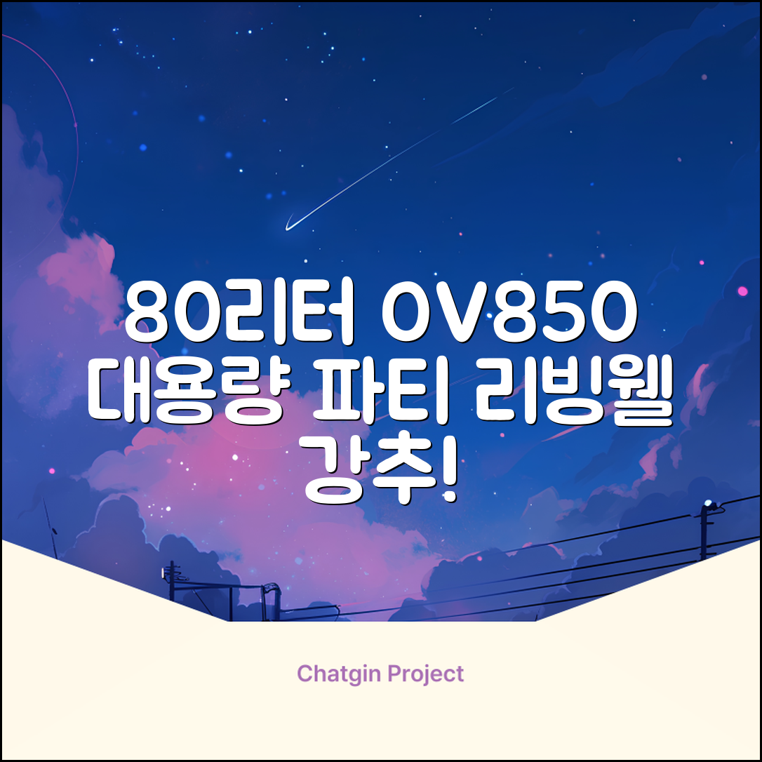 리빙웰 업소용 홈파티용 초대용량 80리터 OV850, 상품명 표기 추천 리뷰
