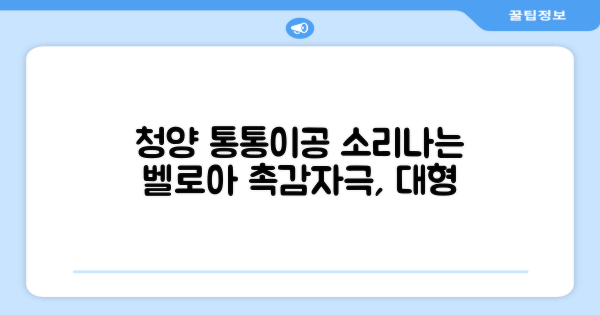 청양 통통이공/ 소리나는 촉감자극공 벨로아 소재, 통통이공-대, 1개 추천 리뷰