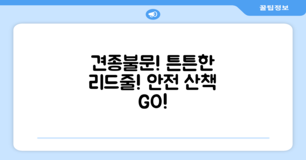 소형견부터 대형견까지? 튼튼하고 안전한 산책을 책임질 리드줄을 찾으시나요?