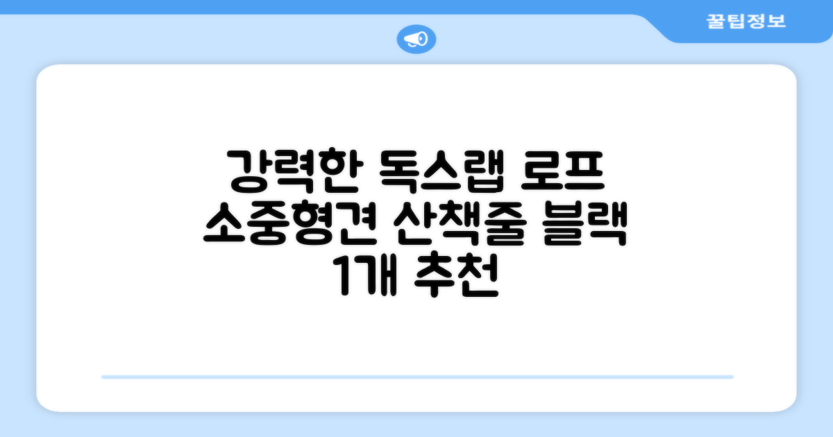 독스랩 1.5m 2m 3m 5m 스트롱 로프 소형견 중형견 대형견 줄 강아지 리드줄 산책줄, 블랙, 1개 추천 리뷰