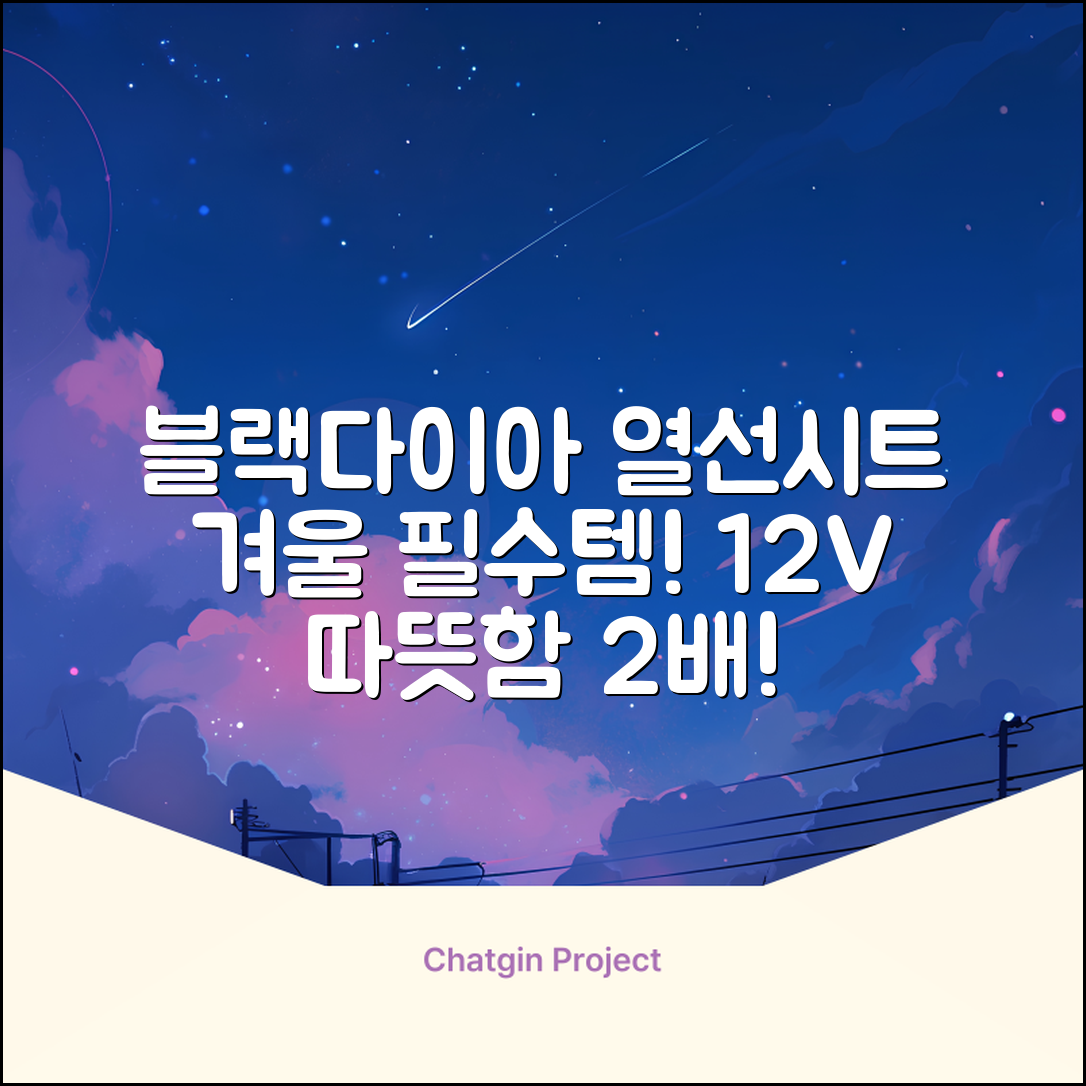 블랙다이아 차량용 열선시트 (1P) 털 겨울 히팅 전기시트, 1개, 12V (운전/조수석) 추천 리뷰