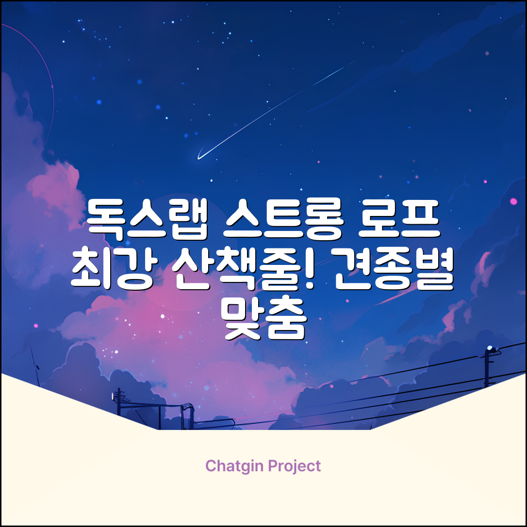 독스랩 1.5m 2m 3m 5m 스트롱 로프 소형견 중형견 대형견 줄 강아지 리드줄 산책줄, 블랙, 1개 추천 리뷰