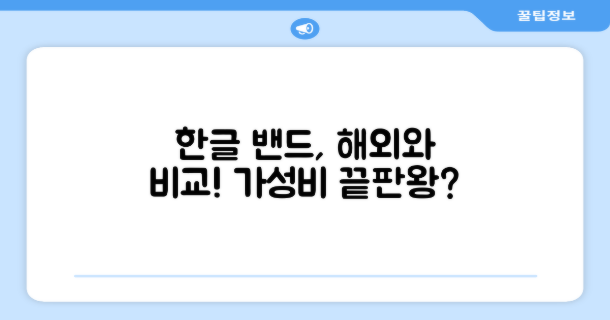 한글 스마트밴드, 해외와 비교