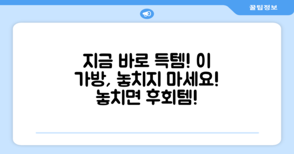 지금 바로 이 가방을 만나보세요!