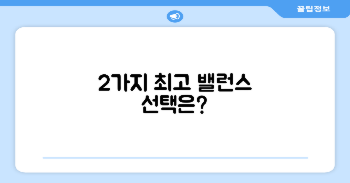 2가지 밸런스 옵션