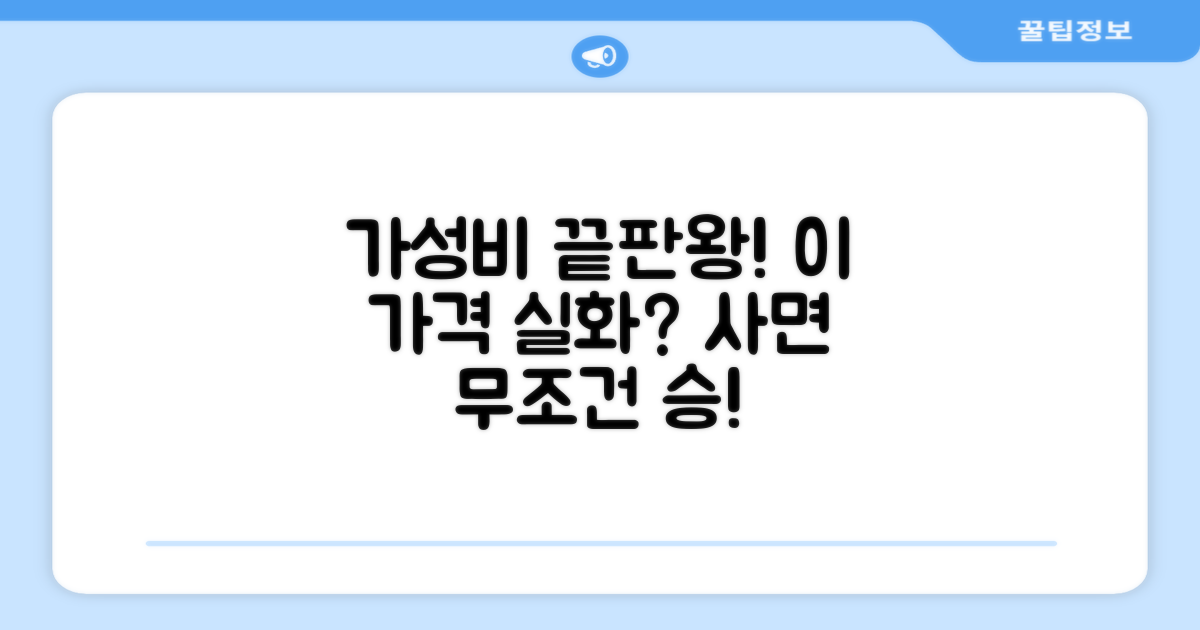 가격: 가성비 비교 평가