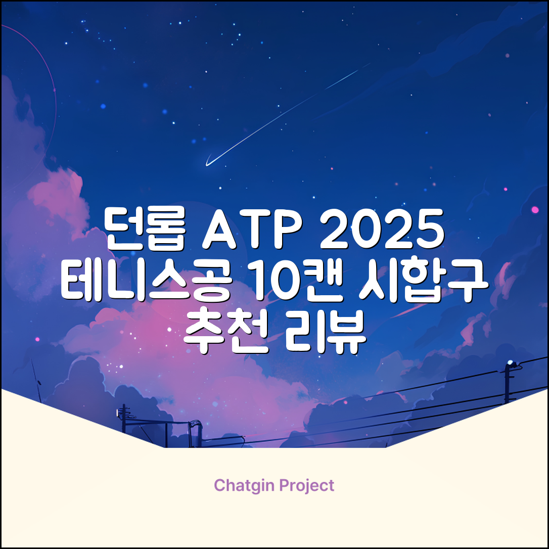 2025 던롭 ATP 테니스공 10캔 (20볼) 시합구, 던롭 ATP볼 10캔 (20볼), 10세트 추천 리뷰