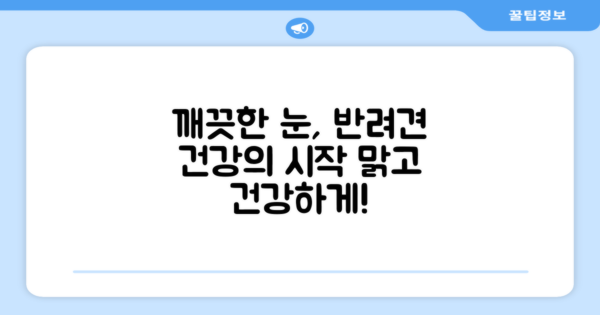 깨끗한 눈, 건강한 반려견의 시작