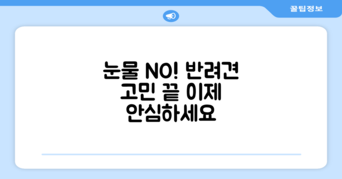 반려견 눈물 고민, 이제는 과거 이야기