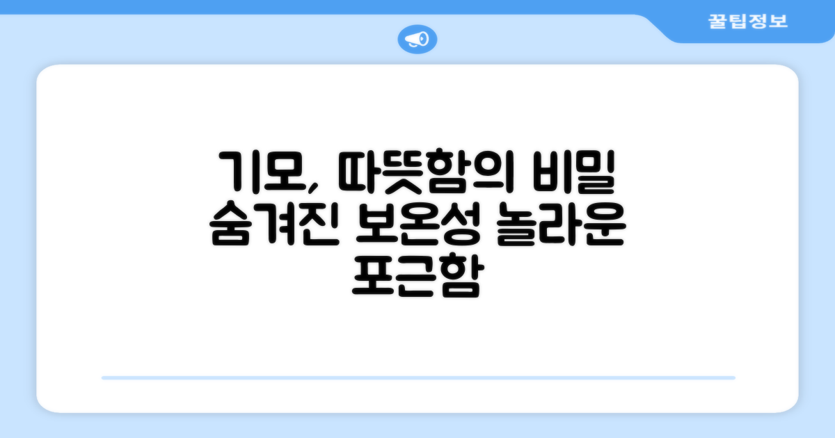 기모의 장점, 무엇일까?