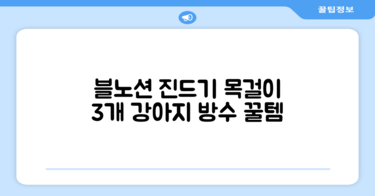 블노션 무향방수 강아지진드기목걸이, 3개, 1L, KS3스몰그레이 추천 리뷰