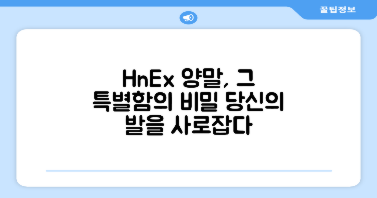 HnEx 양말, 왜 특별할까?