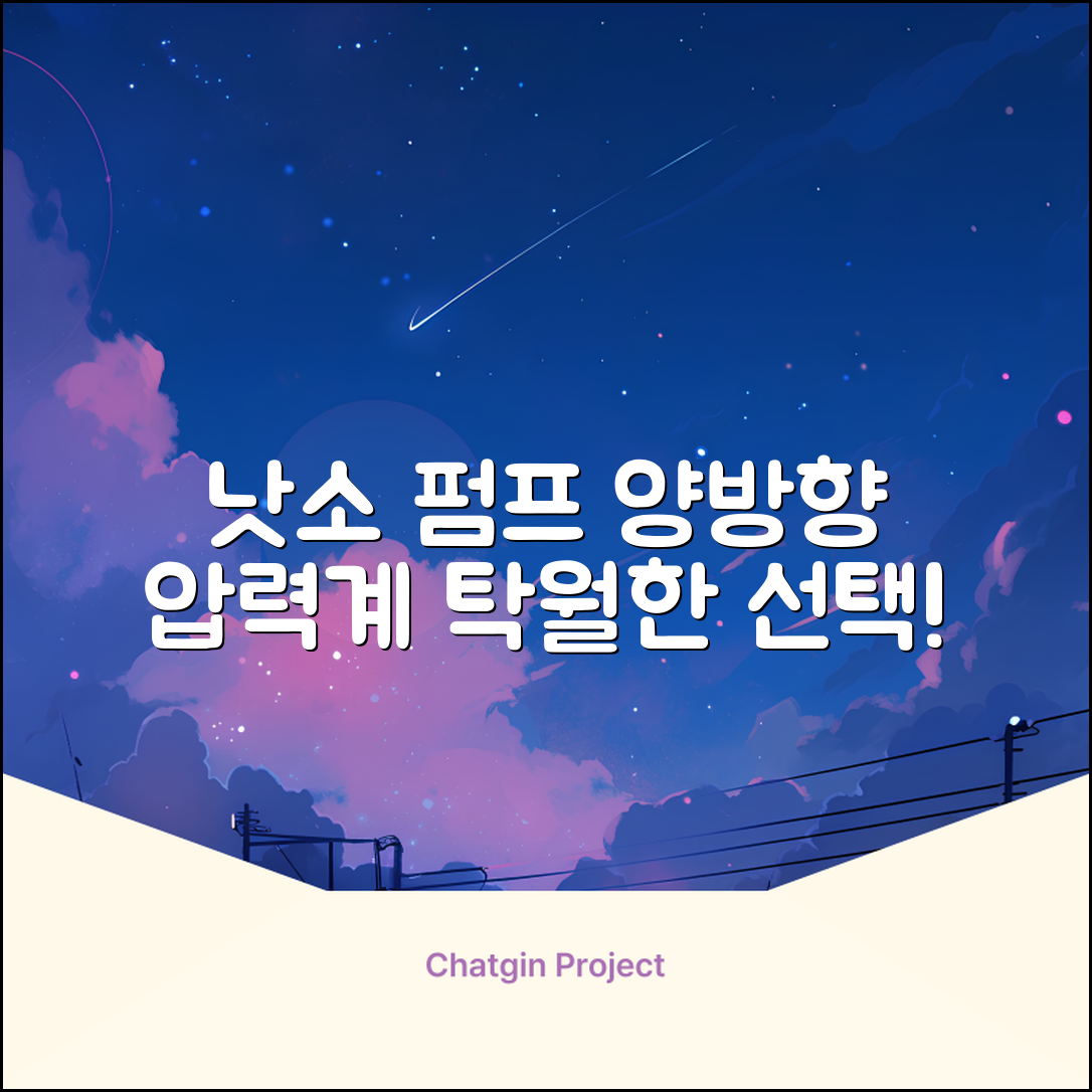 낫소 양방향 압력게이지 펌프, 블랙, 1개 추천 리뷰