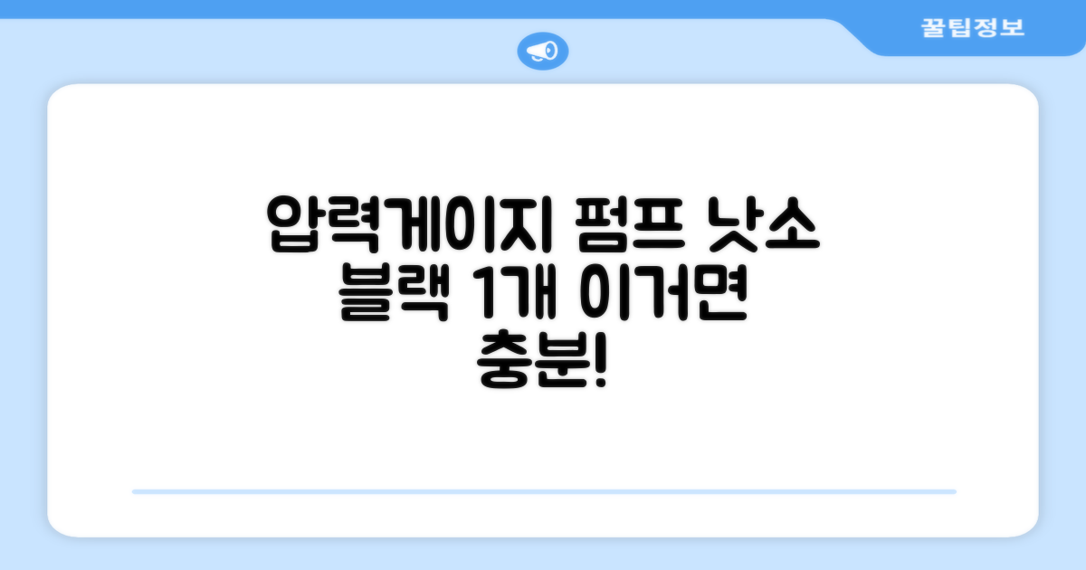 낫소 양방향 압력게이지 펌프, 블랙, 1개 추천 리뷰