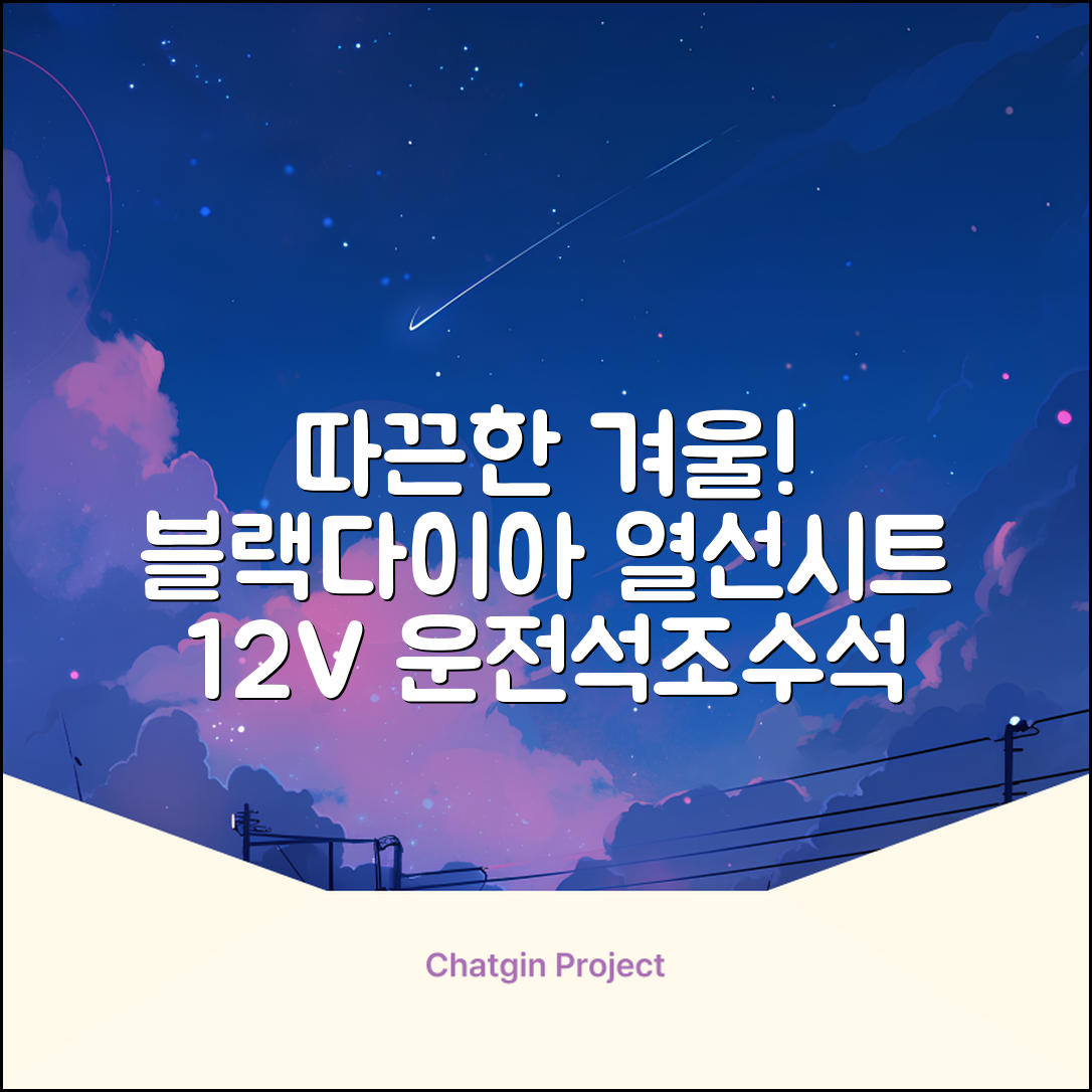 블랙다이아 차량용 열선시트 (1P) 털 겨울 히팅 전기시트, 1개, 12V (운전/조수석) 추천 리뷰